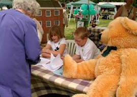 Summer Fair